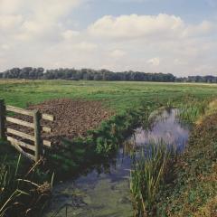 Grazing marshes/dyke