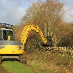 Dymax tree shears on 8 t excavator 4, Elm Farm, 11 Dec 2014