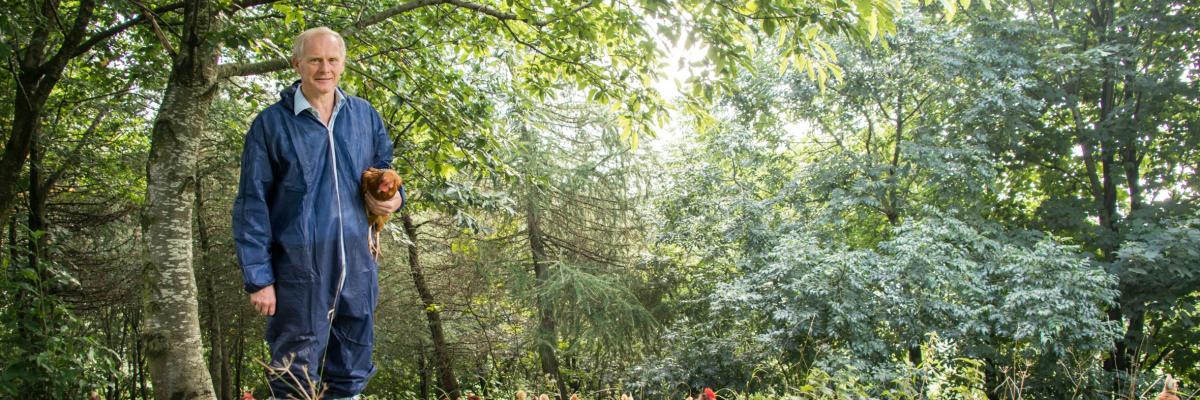 Farmer David Brass and his free range hens in their woodland range. Photo credit: Phil Formby, Woodland Trust Media Library. All Rights Reserved