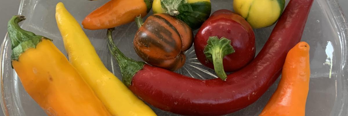 Chillies in a bowl