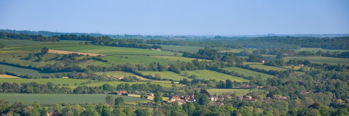 Hedgerows in landscape