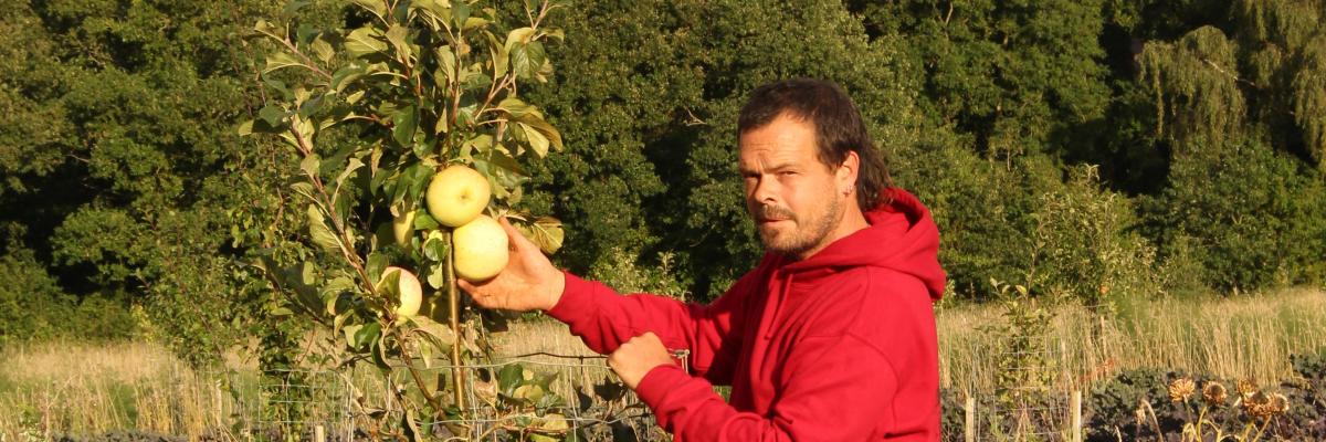 Andy Dibben, head grower at Abbey Home Farm beside early season cooking apple Rev Wilks