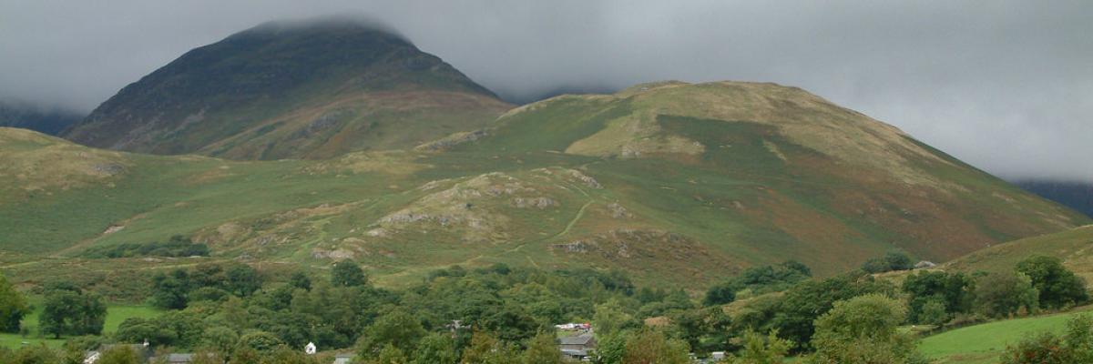 Hedgerow boundary Cumbria