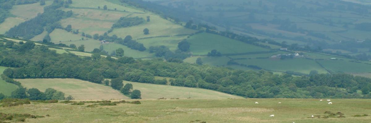 Hill farming, Wales