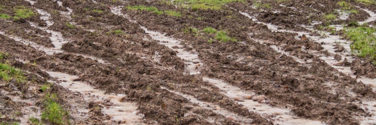 Rainwater running off of saturated arable field