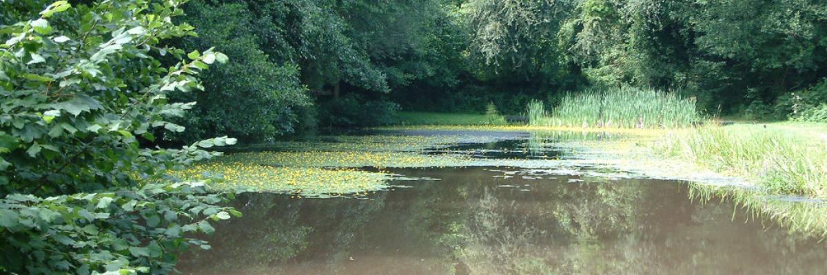 Riparian buffer, Camarthenshire