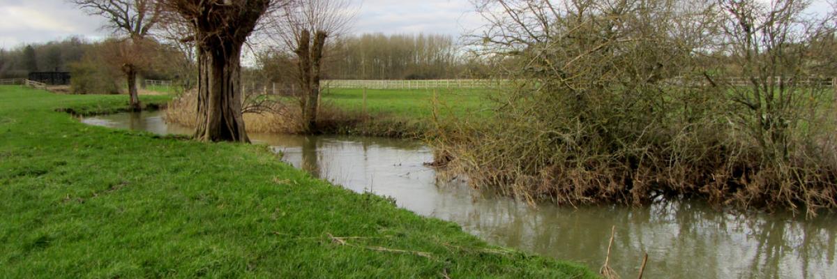 Fenced & grazed riparian strips