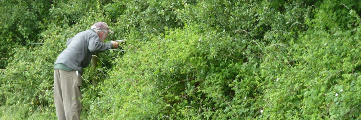 Assessing_hedgerows_for_biodiversity_protocol