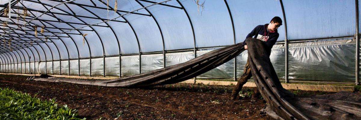 Daylesford farm polytunnel preparation in March