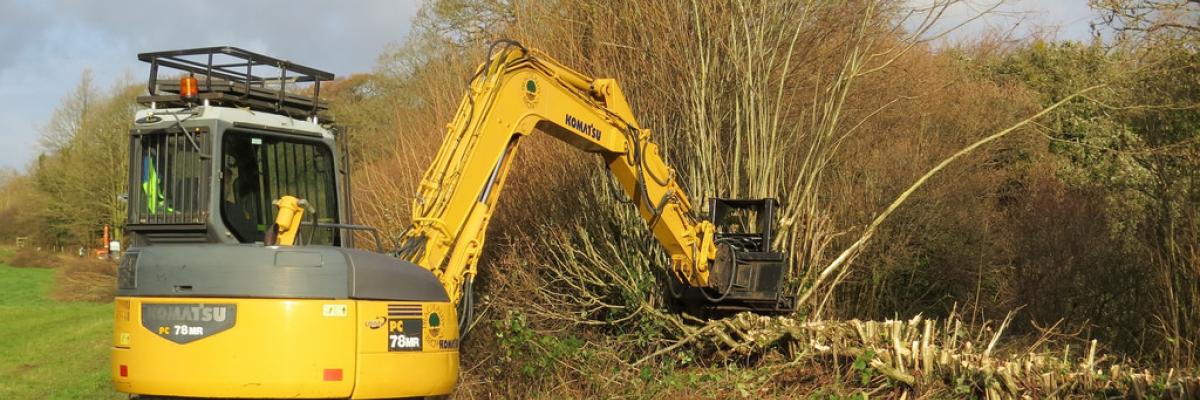 Dymax tree shears on 8 t excavator 4, Elm Farm, 11 Dec 2014